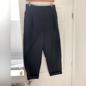 Aritzia Barrel Pants